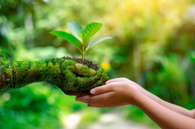 environment-earth-day-hands-trees-growing-seedlings_34998-113 environment-earth-day-hands-trees-growing-seedlings_34998-113